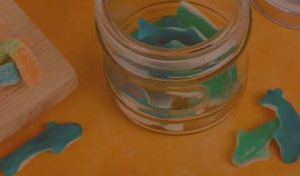 Gomitas de Animales