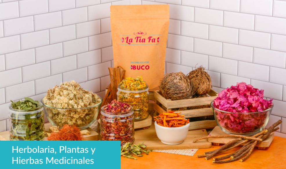 Herbolaria, Plantas y Hierbas Medicinales slidde 4