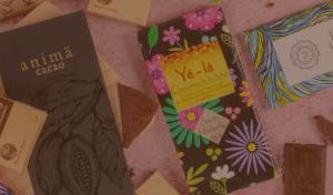 Tabletas Veganos con Ensambles y/o Inclusiones